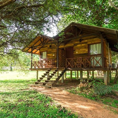 Eighth Wonder Resort Sigiriya Dış mekan fotoğraf