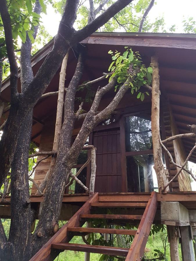 Eighth Wonder Resort Sigiriya Dış mekan fotoğraf