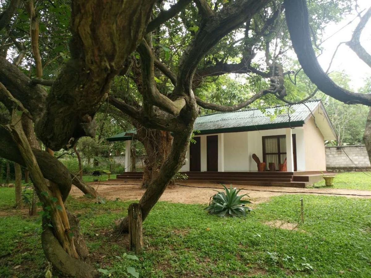 Eighth Wonder Resort Sigiriya Dış mekan fotoğraf