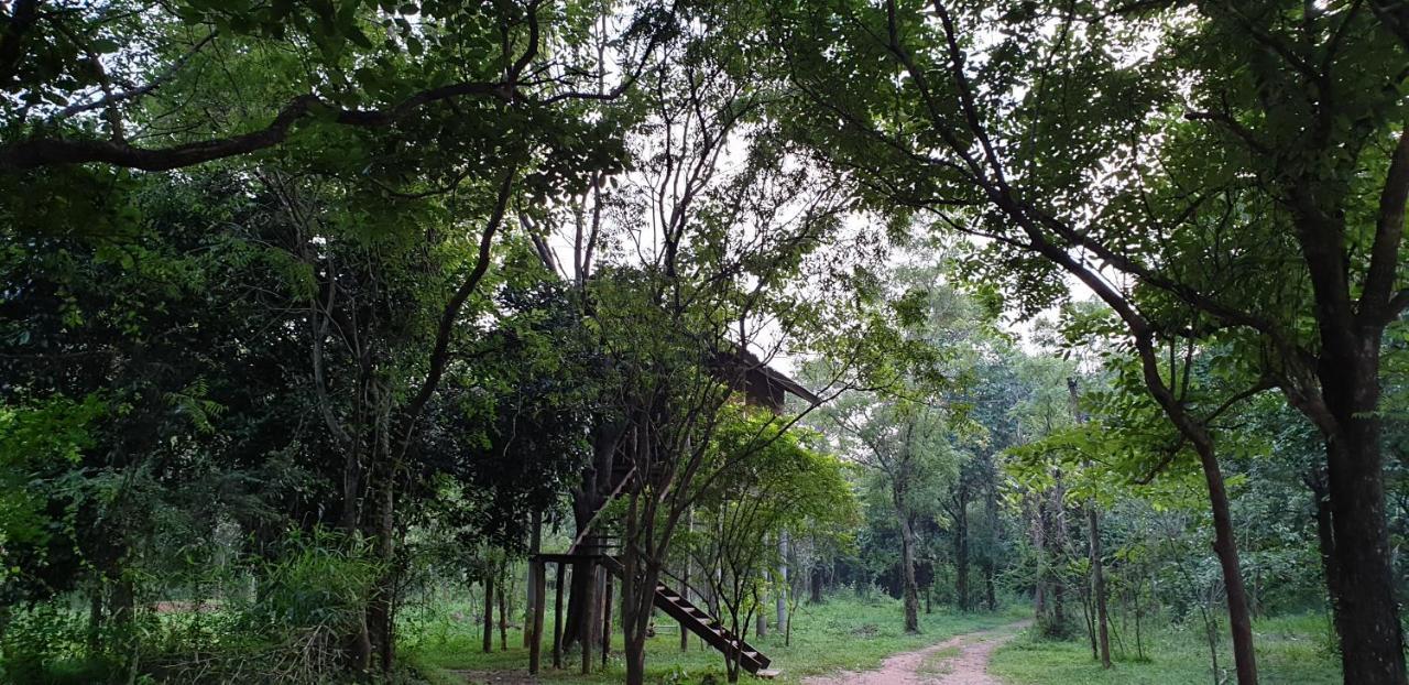 Eighth Wonder Resort Sigiriya Dış mekan fotoğraf