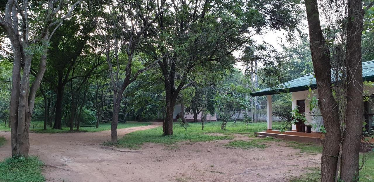 Eighth Wonder Resort Sigiriya Dış mekan fotoğraf