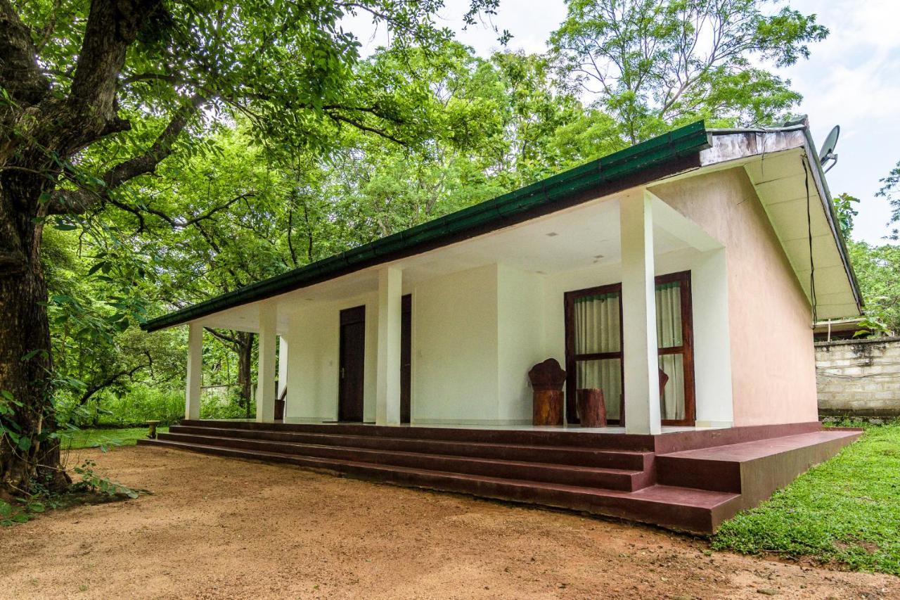 Eighth Wonder Resort Sigiriya Dış mekan fotoğraf