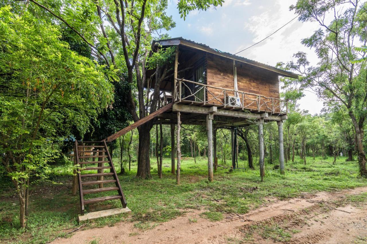 Eighth Wonder Resort Sigiriya Dış mekan fotoğraf